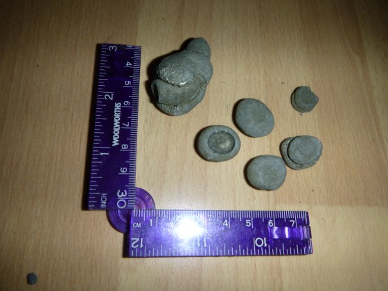 But does anyone know why the pyrite has grown like this? They look like mushrooms!