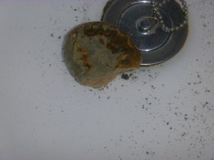 When I got home it was time to clean and properly catalougue what we had found..