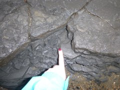 Our first fossil spot is a small ammonite (super over exposed!)