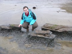 When the tide is this low you can see where the Piddock shells bore into the rock.