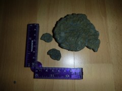 Some were encrusted with so much pyrite (fool's gold) you could barely see what it used to be!