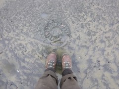 And these ammonites are ussually underwater!