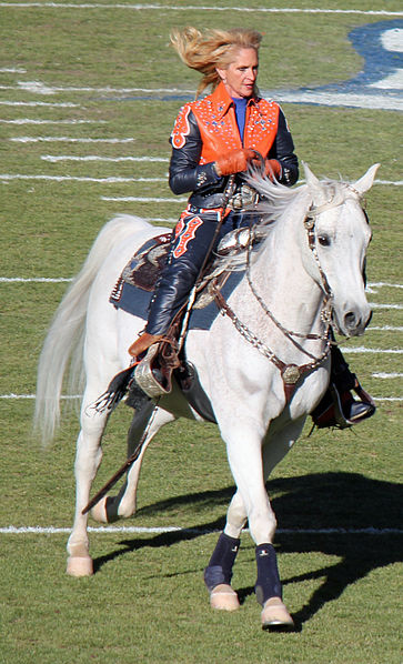 This is Thunder - the Bronco's mascot (image from Wikipedia.com)
