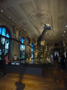 Just your average dinosaur gallery?