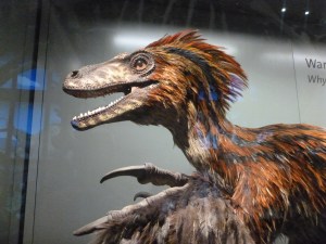 And they get extra points for having a feathered Deinonychus model!