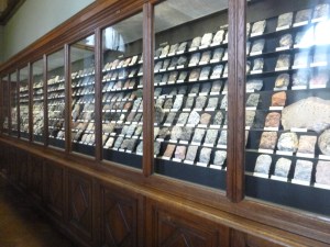 There were so many specimens...