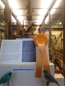 They even won prizes for their taxidermy and display - who knew you even could!?!