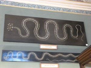 That I simply did not have time to see them all.