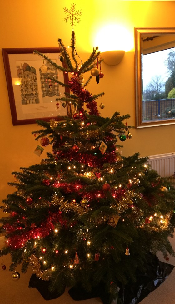 Decorating the tree is one of my favourite parts of the season - I wish it could stay up until March!