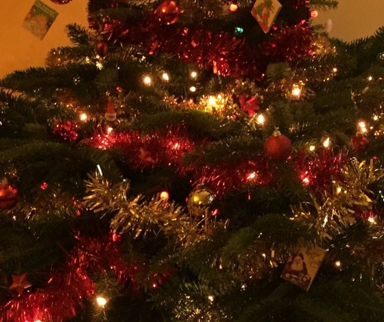 Sparkly lights, lovely pine smell - the tree is the best!