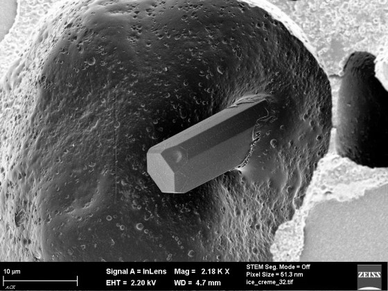 A great image of an ice crsytal in Ice Cream, taken by the Plymouth University Electron Microscopy Centre.