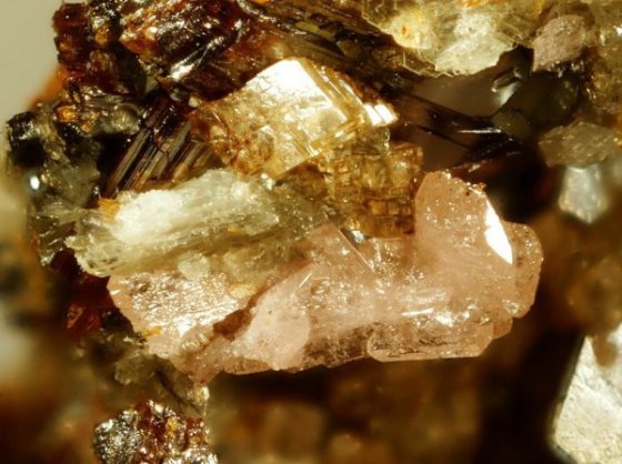 A picture of Monazite (Nd) from MinDat website, taken by Enrico Bonacina