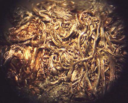 This silver is very tinsel-like. The photo was taken by Ian Jones.