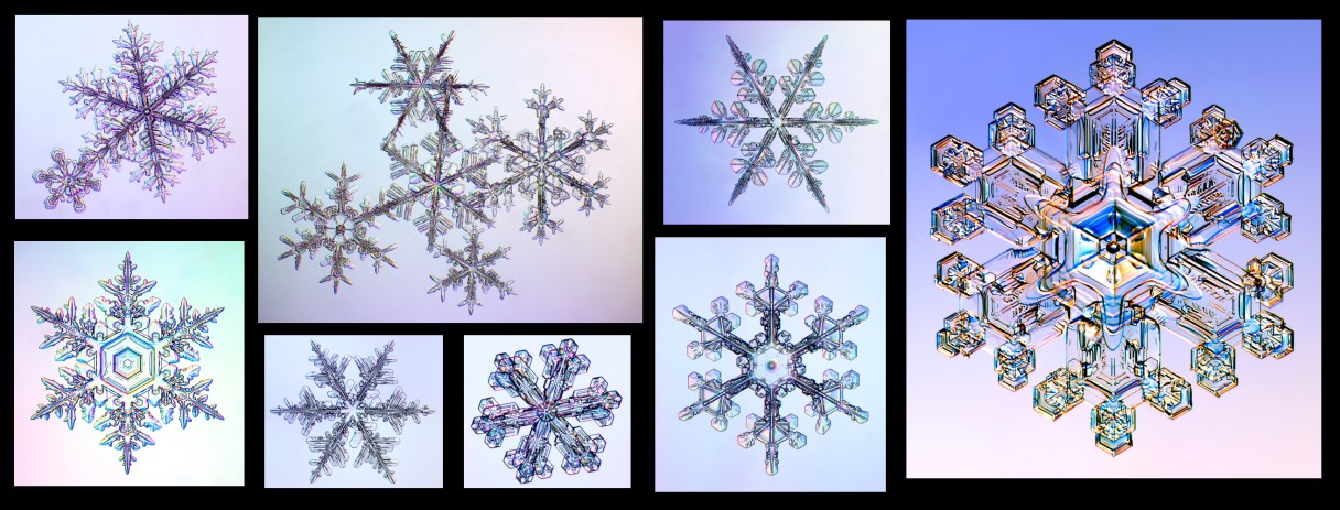 Absolutey gorgeous photos of the stellar dendrites form of ice, please visit Kenneth Libbrecht's webpage form more spectacular imagery.