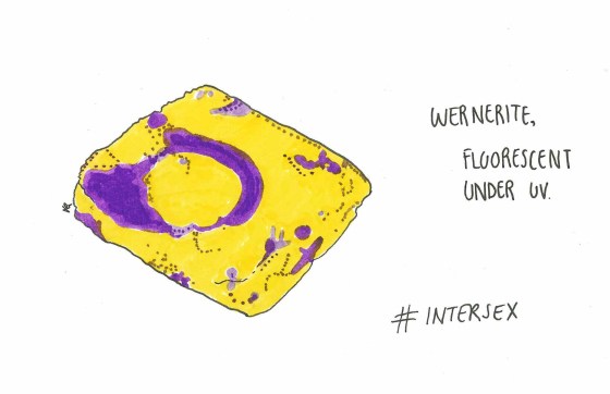 intersex